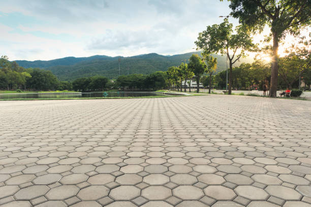 Best Affordable Driveway Pavers  in Williams, CA