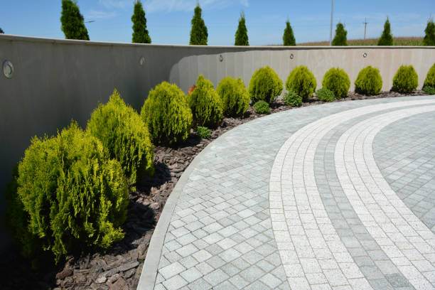 Reasons to Select Us for Your Driveway Paving Requirements in Williams, CA