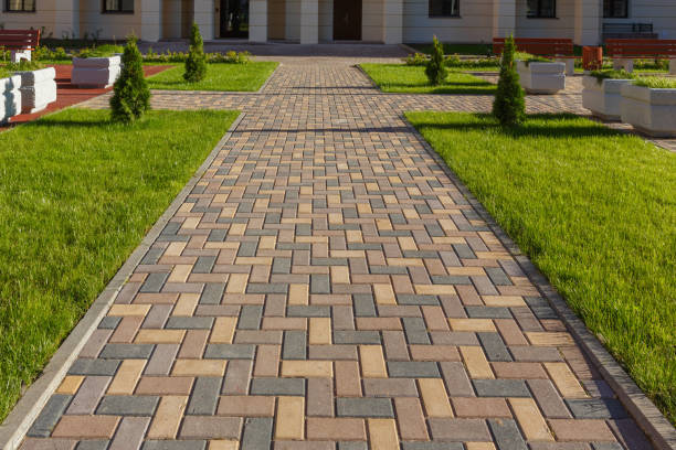 Best Driveway Paving Contractor  in Williams, CA